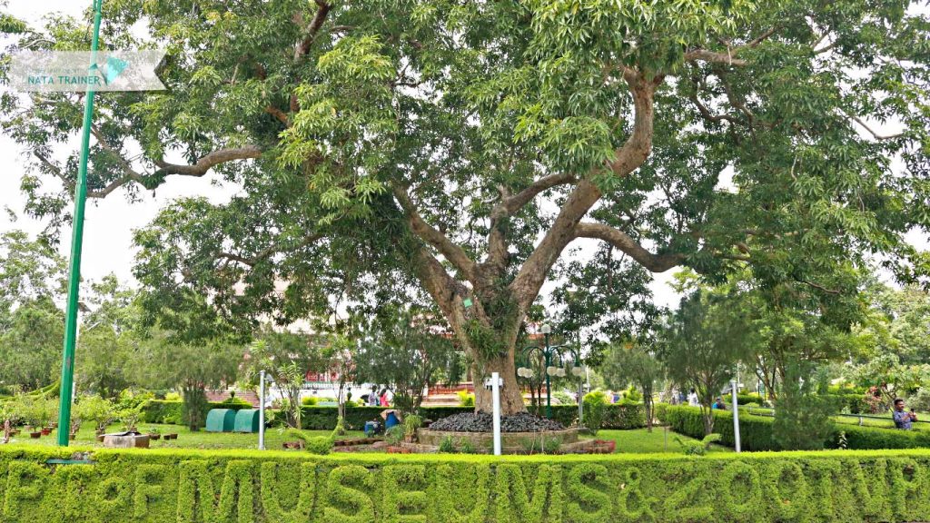 NATA Trainer at the Best Nata Coaching Centre in Kerala -img51 Image Courtesy: NATA Trainer at NATA Coaching centre in Thiruvananthapuram